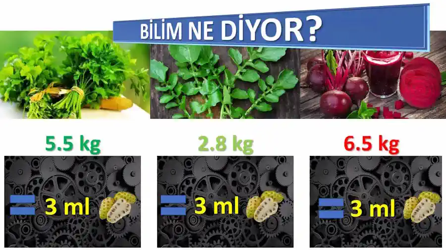 Nitrik Oksit icin Bilim Ne diyor?