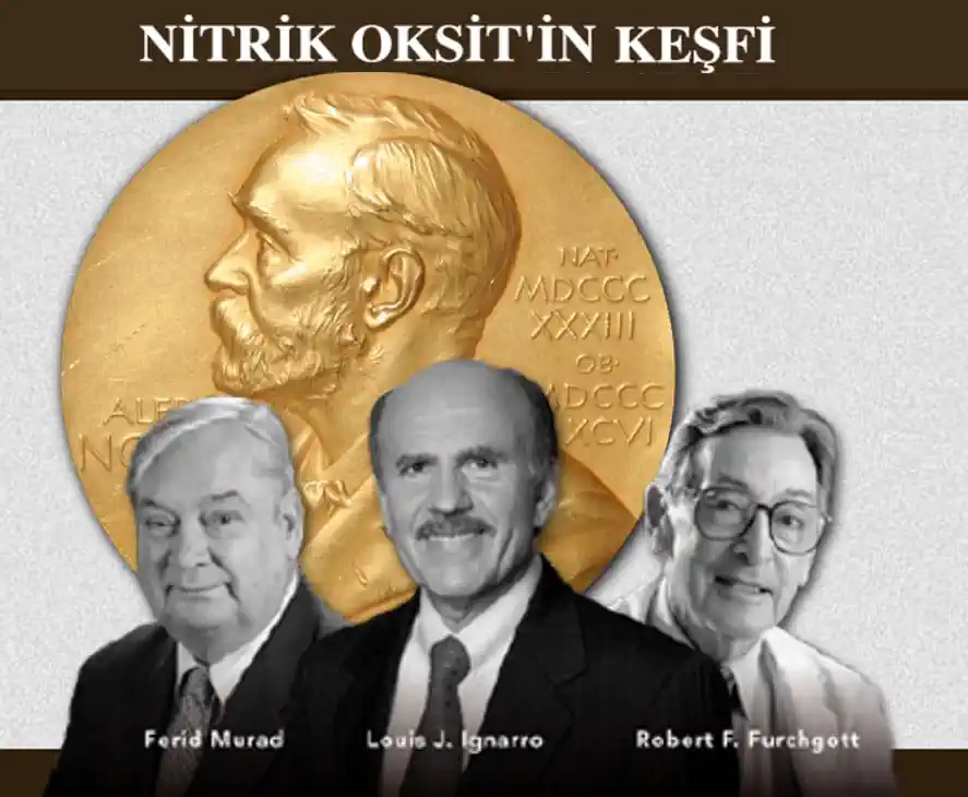 Nitrik Oksitin Kesfi